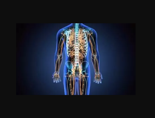 Natural Forces Within Us Are the True Healers of Disease Natural Forces Within Us Are the True Healers of Disease